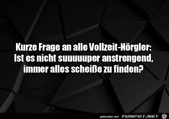 Frage an die Vollzeit-Nrgler