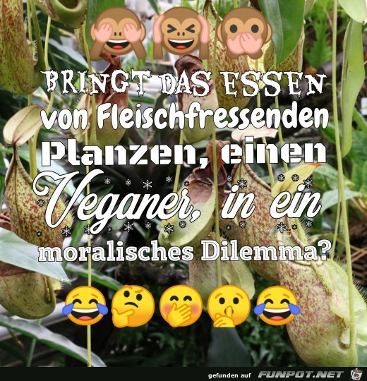 Der Veganer