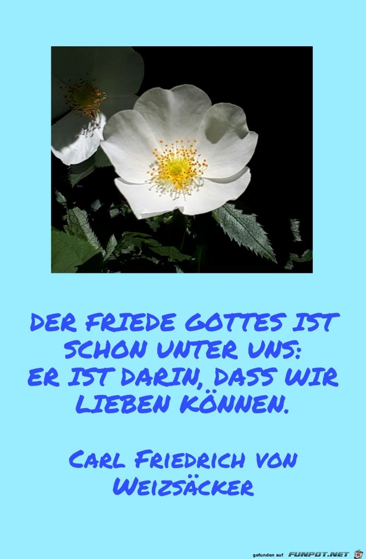 der friede gottes