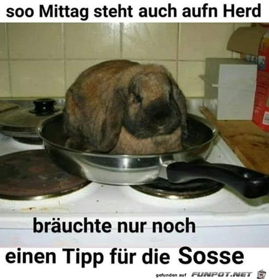 Das Essen steht auf dem Herd