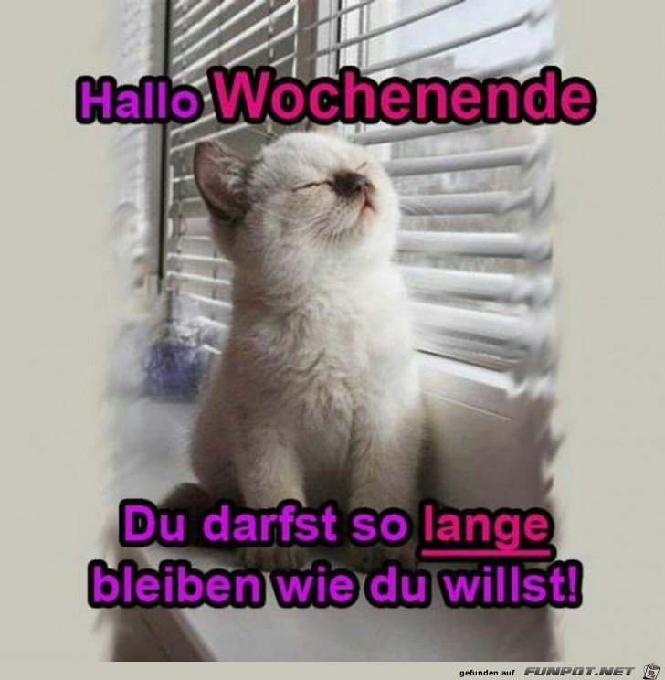 Hallo Wochenende, du darfst solange bleiben wie du willst