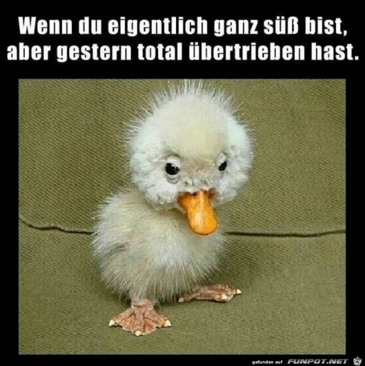 wenn du