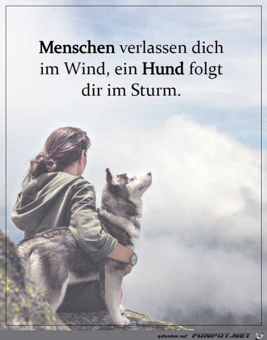 Menschen und Hunde sind verschieden