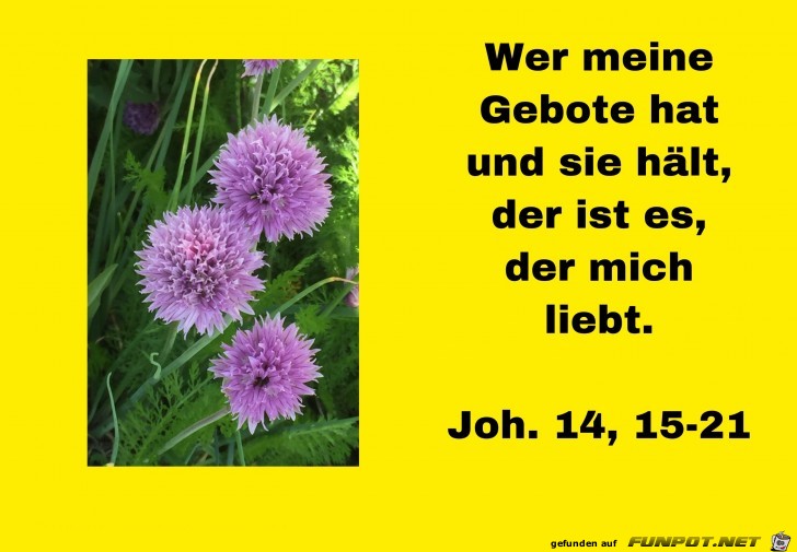 Joh. 14 15-21