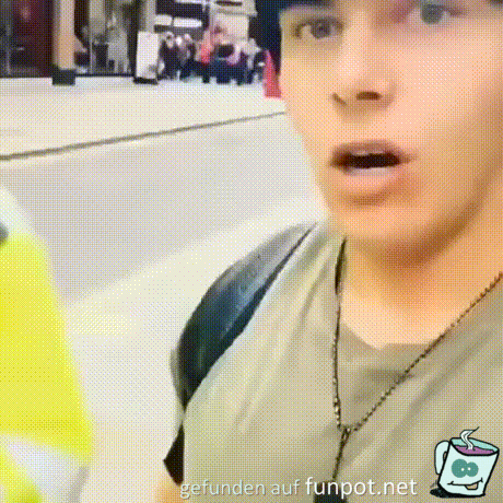 Dumm gelaufen 95 Dumm gelaufen 95