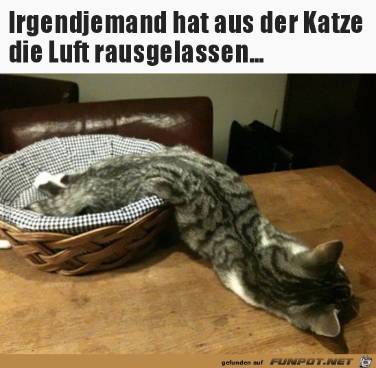 Luft aus der Katze gelassen