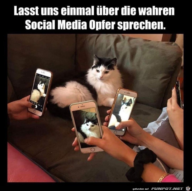 Die wahren Social Media Opfer