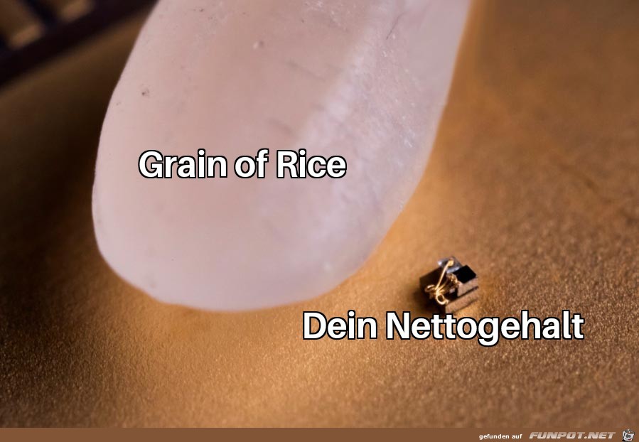 Nettogehalt im Vergleich zu einem Reiskorn Nettogehalt im Vergleich zu einem Reiskorn