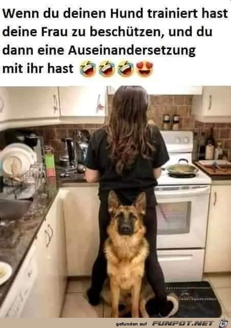 Der Hund ist gut trainiert