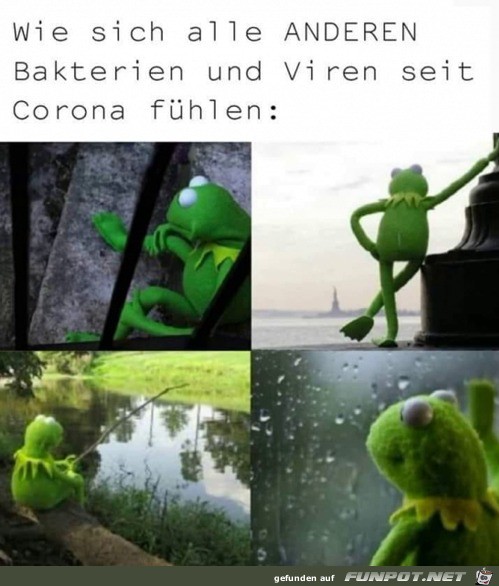 Andere Viren und Bakterien haben derzeit Urlaub