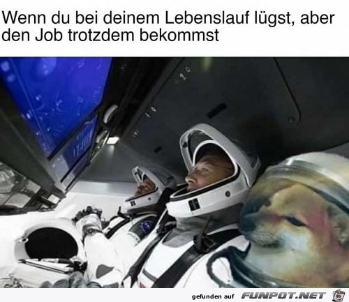 Den Job trotzdem bekommen