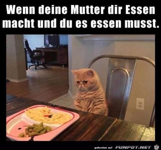 Das Essen will ich nicht