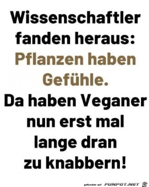 Da haben Veganer dran zu knabbern