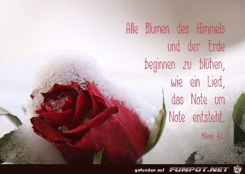 Alle Blumen