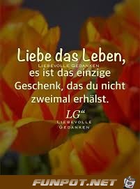 Liebe das Leben