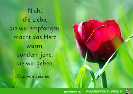 Die Liebe