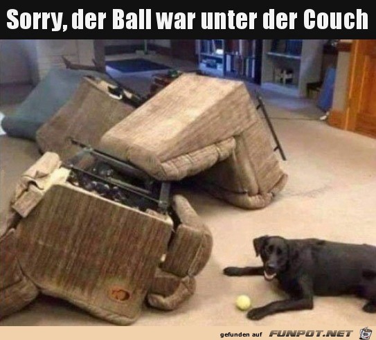 Der Ball war unter der Couch