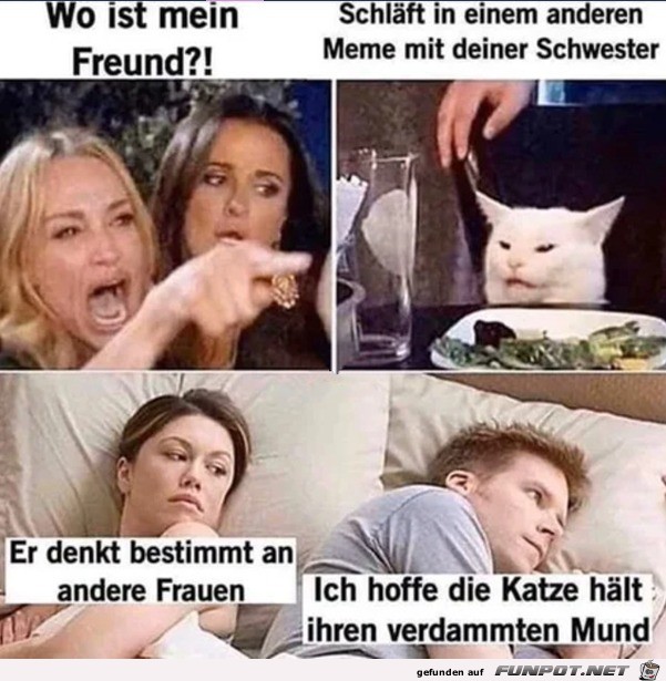 Hoffentlich hlt die Katze ihren Mund