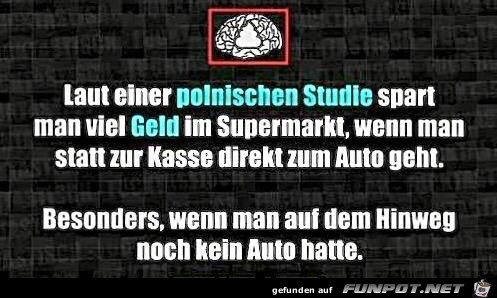 polnische Studie polnische Studie