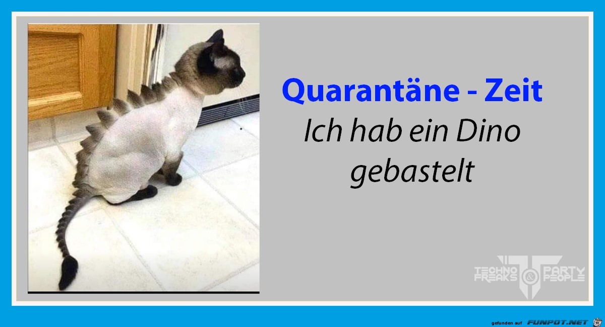 Quarantne-Zeit