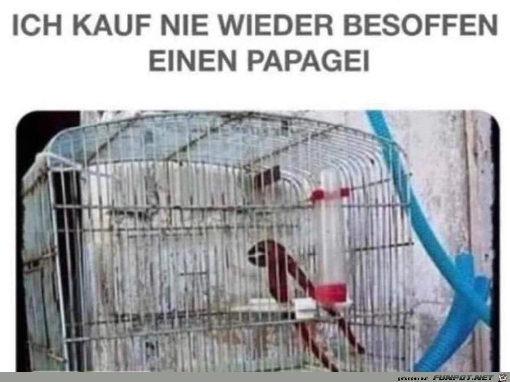 Besoffen etwas kaufen