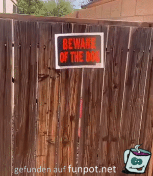 Vorsicht vor dem Hund!