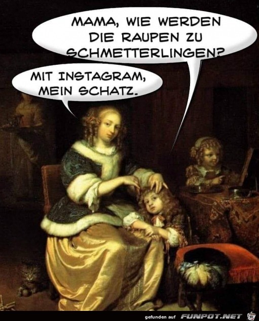 Auf Insta werden Raupen zu Schmetterlingen