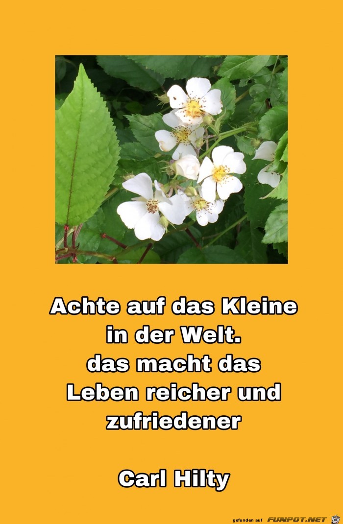 achte auf das kleine