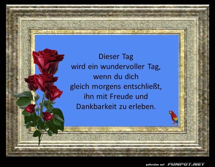 Dieser Tag wird wundervoll Dieser Tag wird wundervoll