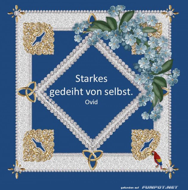 Starkes Starkes