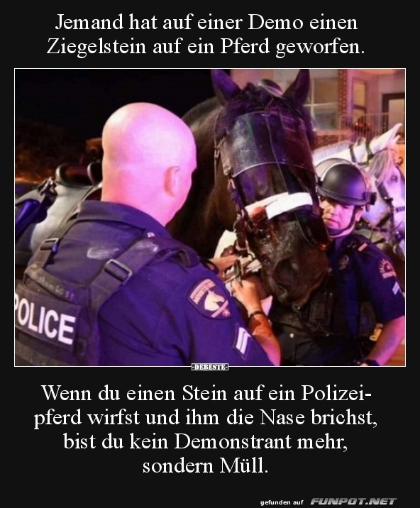 kein Demonstrant mehr