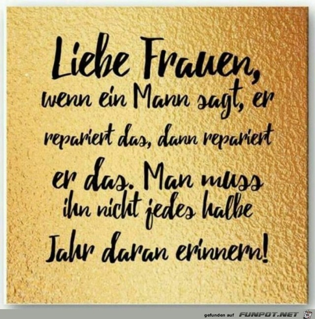 Liebe Frauen 