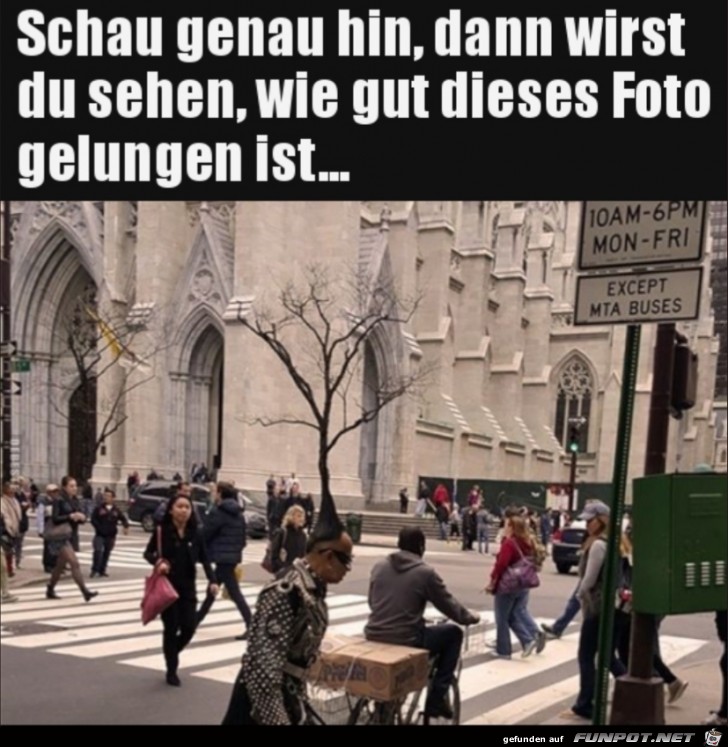 Schau genau hin, dann wirst du es sehen