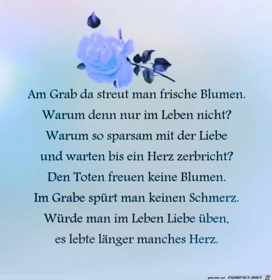 Blumen schenken