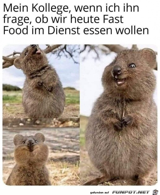 Mein frhlicher Kollege