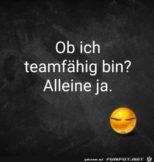 Bist du teamfhig?