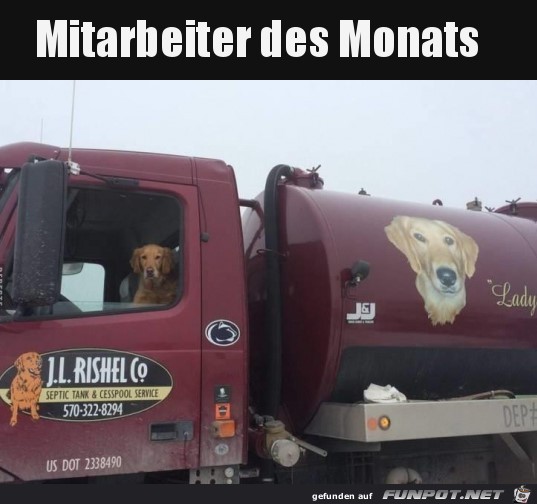 Arbeiter der Monats