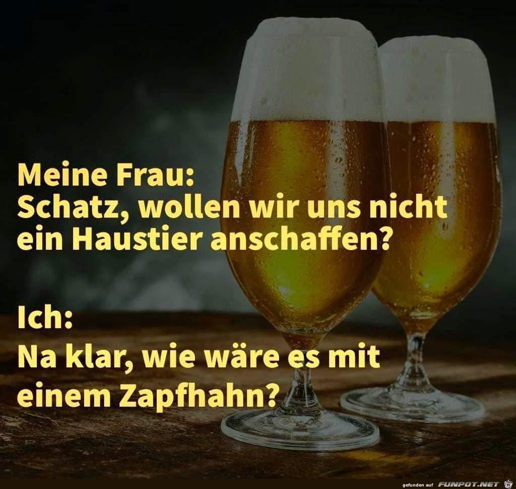 Haustier Haustier