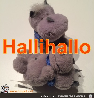 Hallihallo