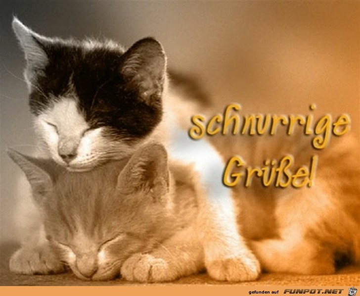 Schnurrige Gre