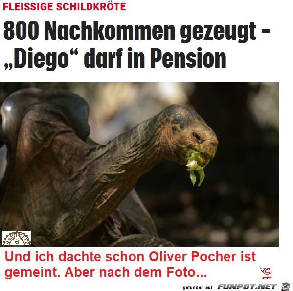 Diego-Pocher