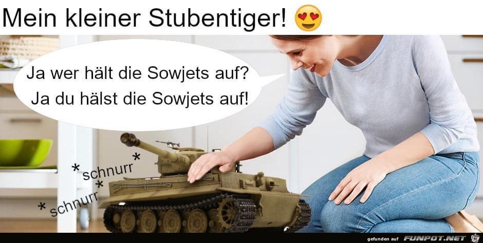 Stubentiger