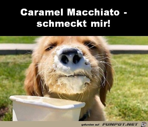 Hund liebt Caramel Macchiato
