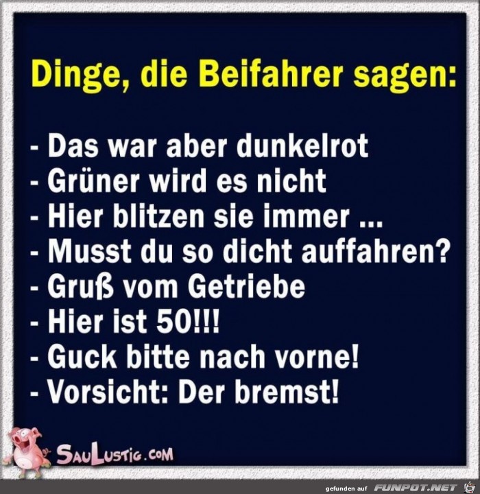 Dinge, die Beifahrer sagen