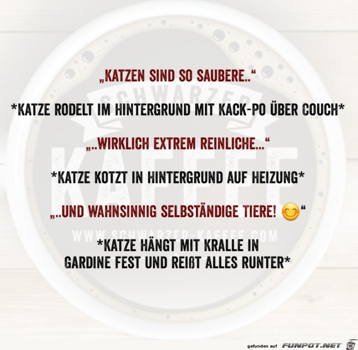 Katzen sind so saubere....