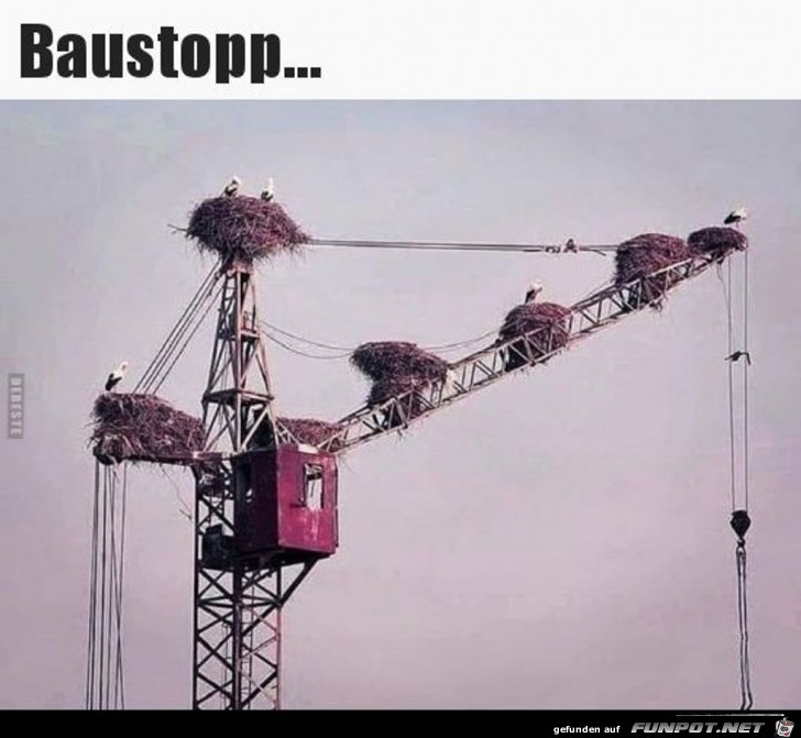 Baustopp....