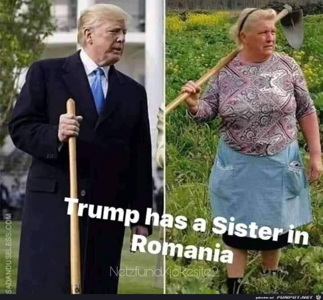 Trumps Schwester