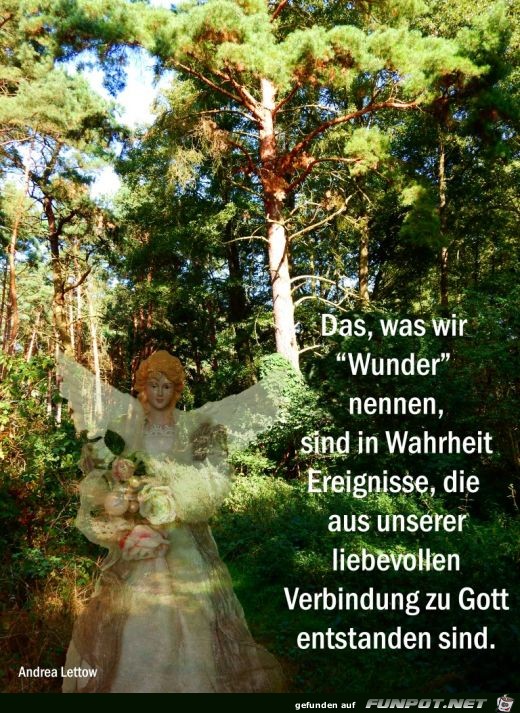 Wunder Wunder