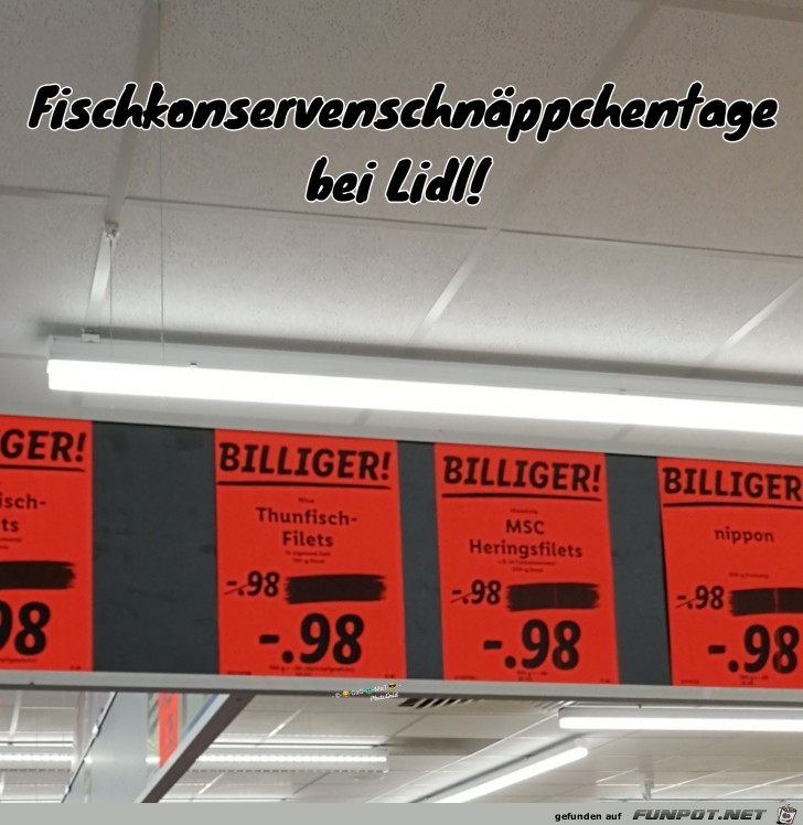 Billig Fisch