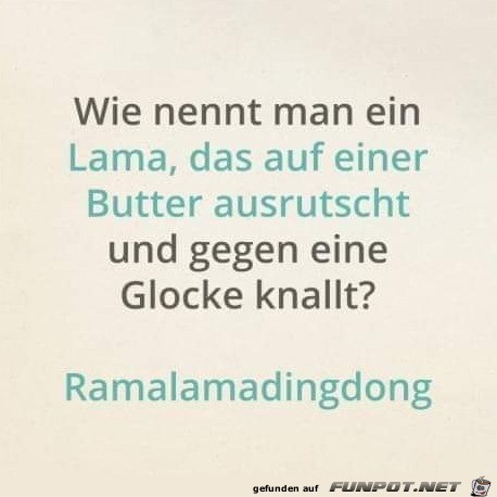 Lama, das auf einer Butter ausrutscht